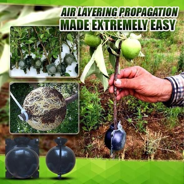 REUSABLE PLANT ROOTING DEVICE