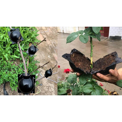 REUSABLE PLANT ROOTING DEVICE