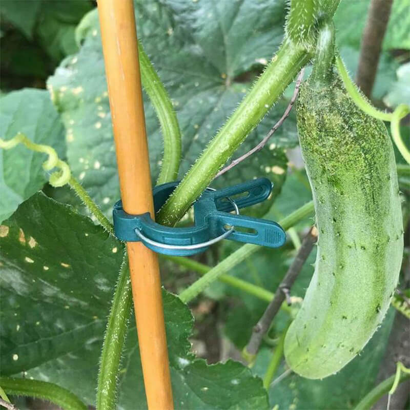 Reusable Garden Gripper Clips